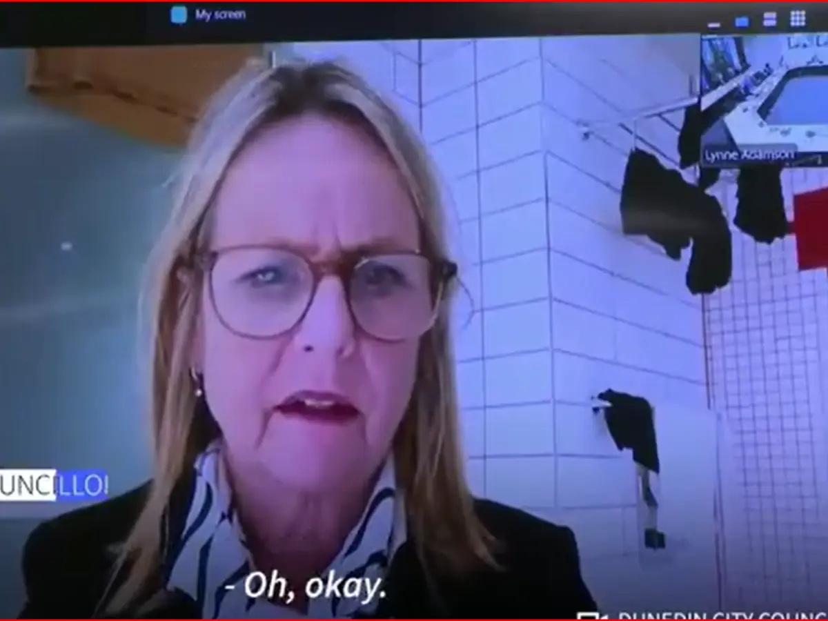 NZ female politician joins meeting from bathroom with underwear hanging - 'You can see my washing, you can see me'