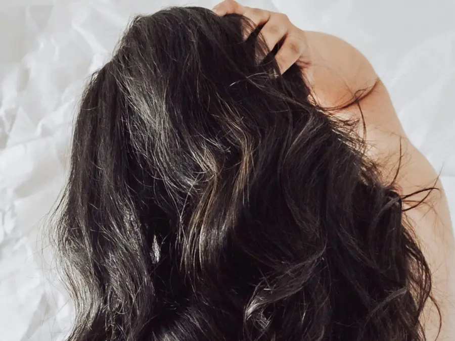 Drug-resistant fungus that hides in hair and enters bloodstream reported in 23 US states