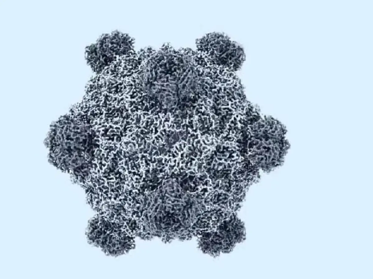 AI just made the first viruses that do not exist on Earth. 'That's how they create the next zombie virus,' netizens say