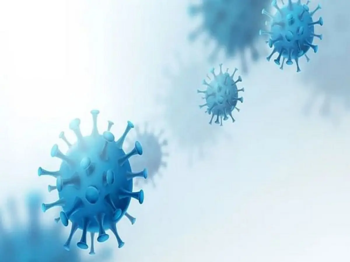 Scientists use artificial intelligence to design brand new viruses; what implications could it have? Scientists use artificial intelligence to design brand new viruses; what implications could it have?