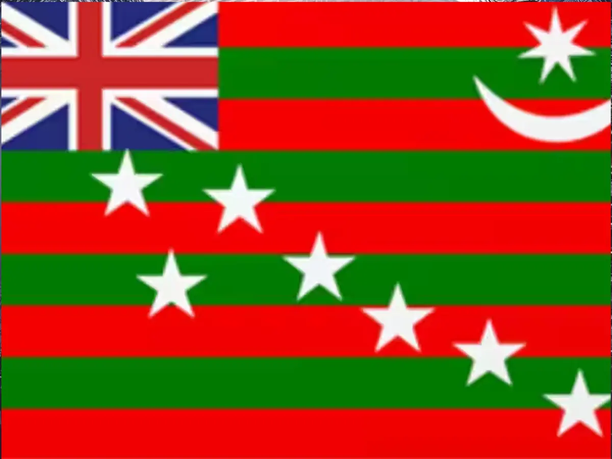 The Home Rule Movement flag