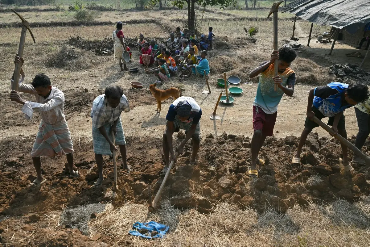 Rural jobs fall nearly 50% in first month of VB-G RAM G scheme, official data shows