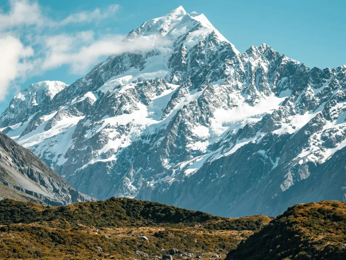 Remains of ancient sea creatures found on Himalayan peak lead chatter that Noah's Ark was real