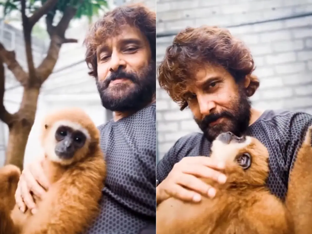 Chiyaan Vikram in legal trouble over Lar gibbon video? Wildlife department launches probe