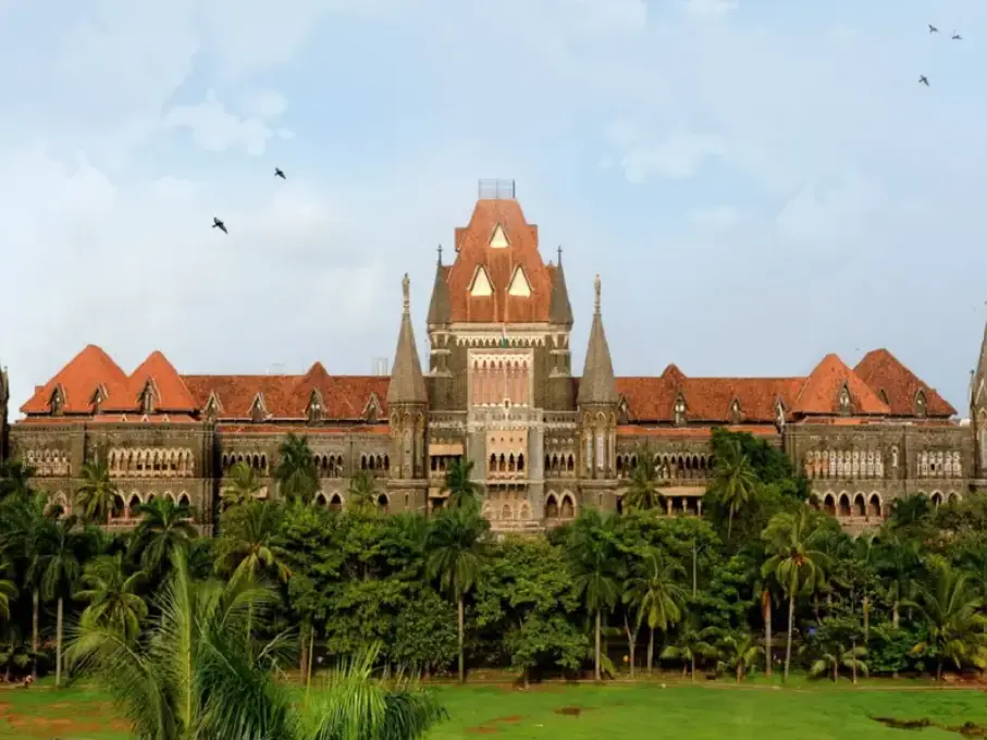 Bombay HC pulls up Maharashtra FDA over Cadila drug ban, says powers must be used judiciously Bombay HC pulls up Maharashtra FDA over Cadila drug ban, says powers must be used judiciously