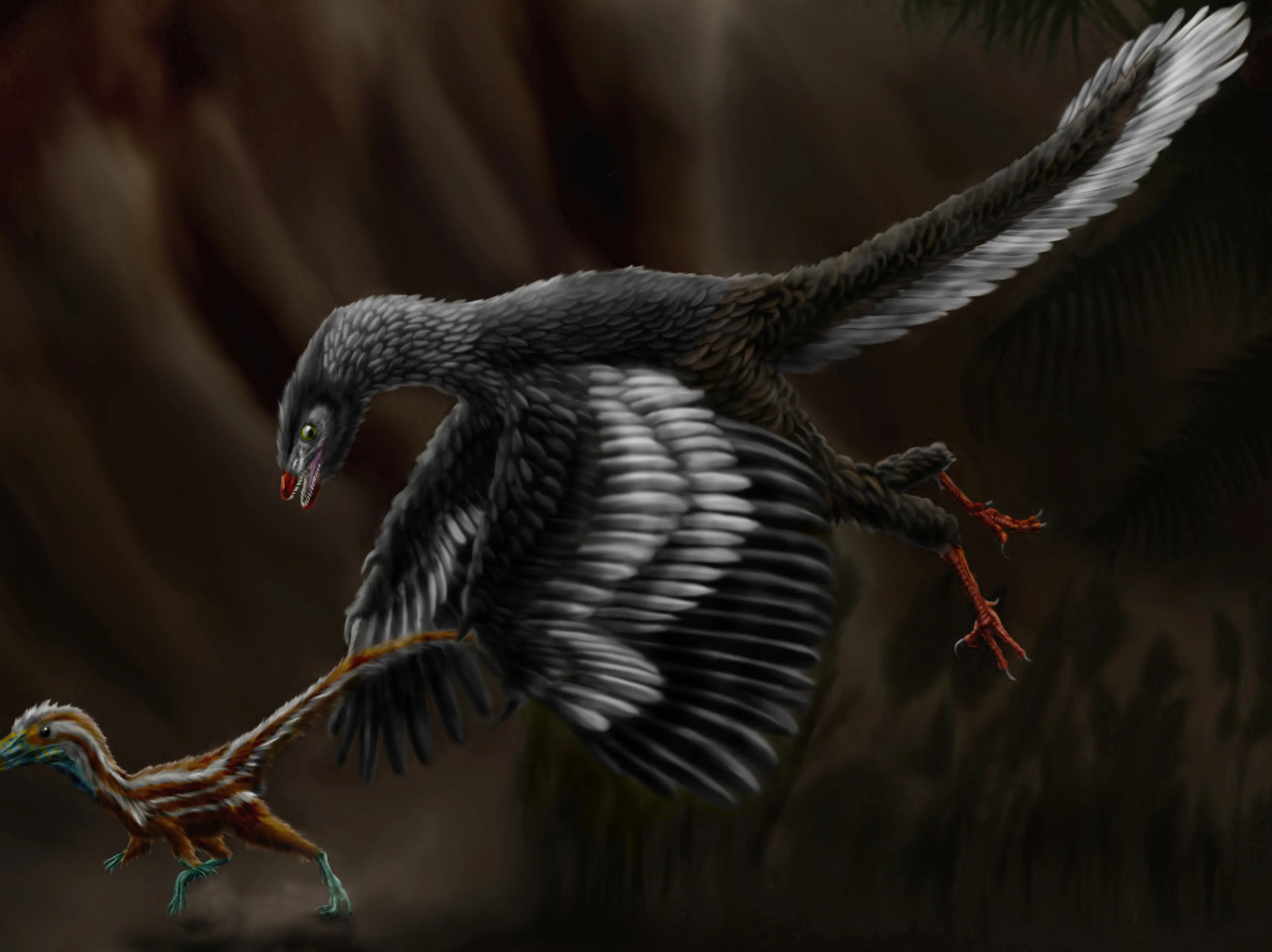 How did the first bird take flight? Scientists may have finally solved the mystery How did the first bird take flight? Scientists may have finally solved the mystery