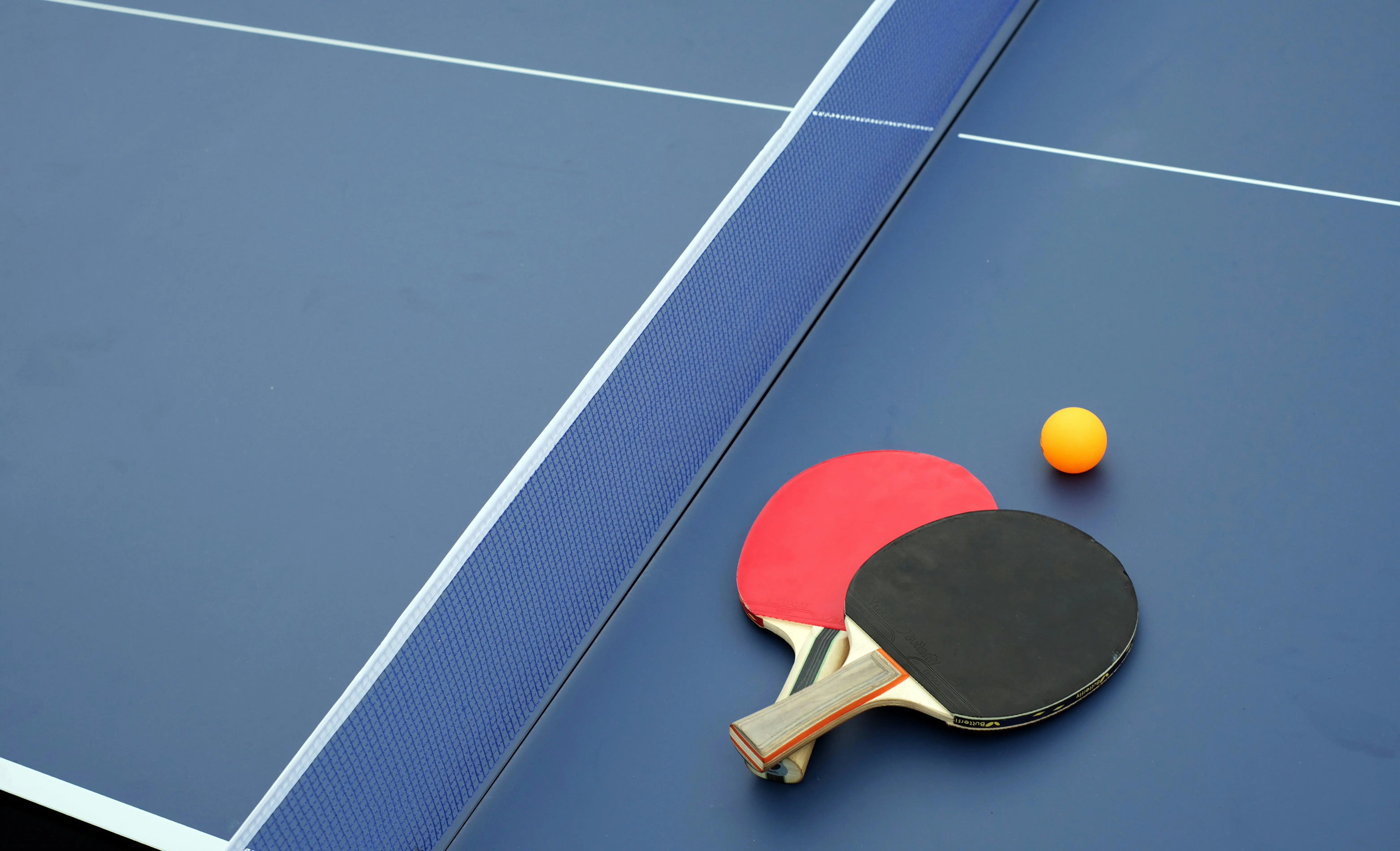 Sports ministry suspends Table Tennis Federation of India recognition, seeks IOA intervention