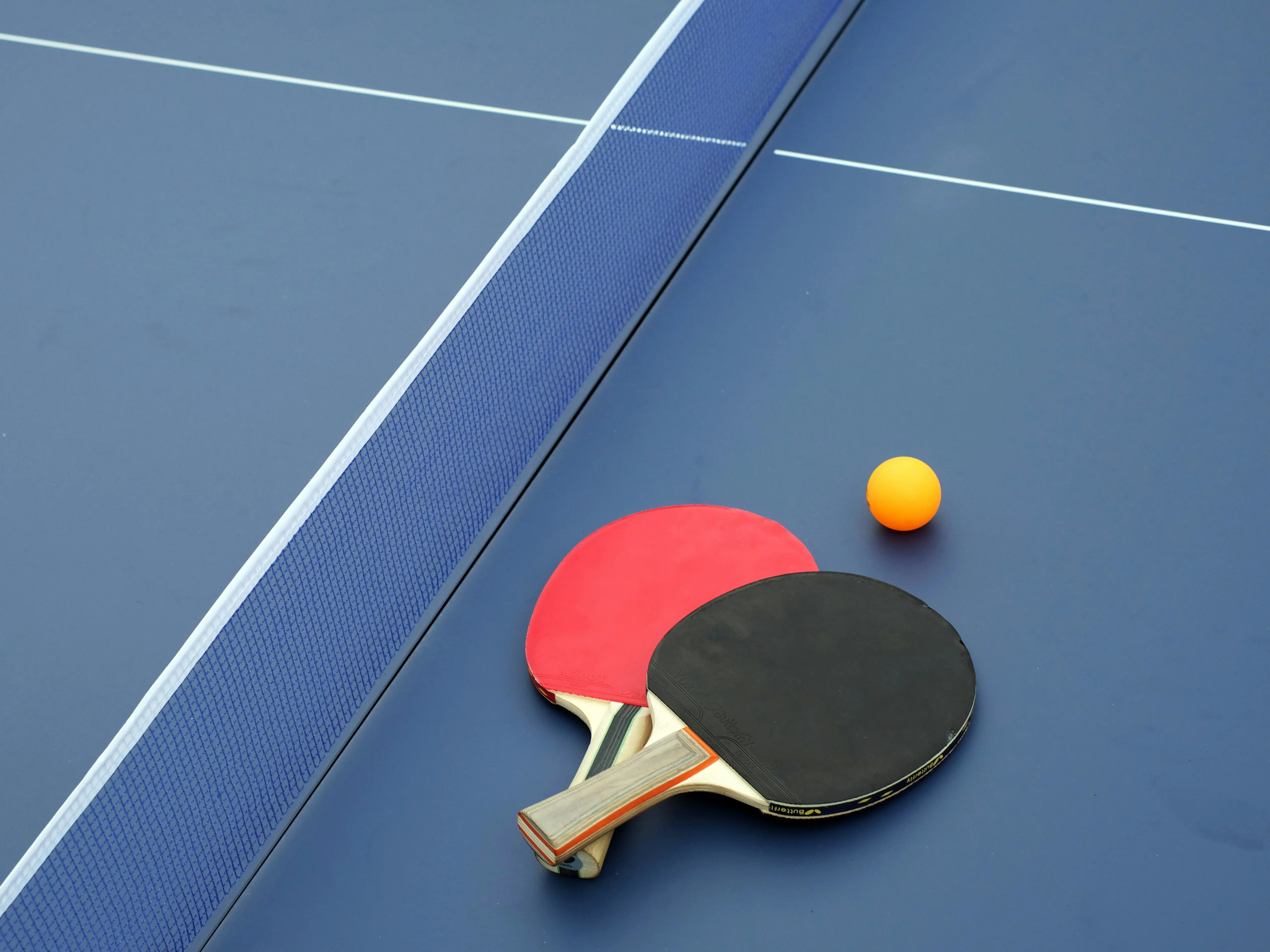 Sports ministry suspends Table Tennis Federation of India recognition, seeks IOA intervention Sports ministry suspends Table Tennis Federation of India recognition, seeks IOA intervention