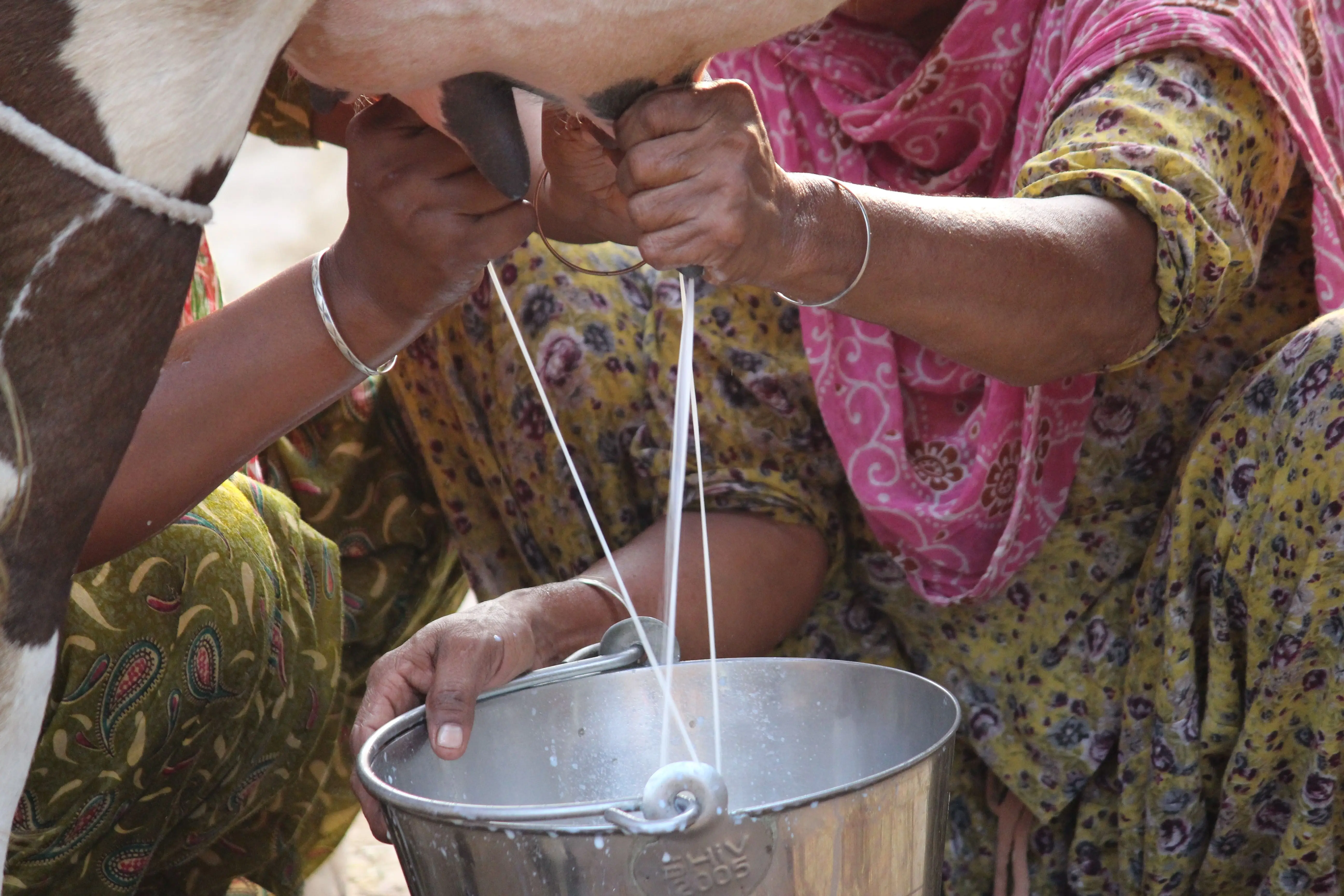 Milk (per litre)