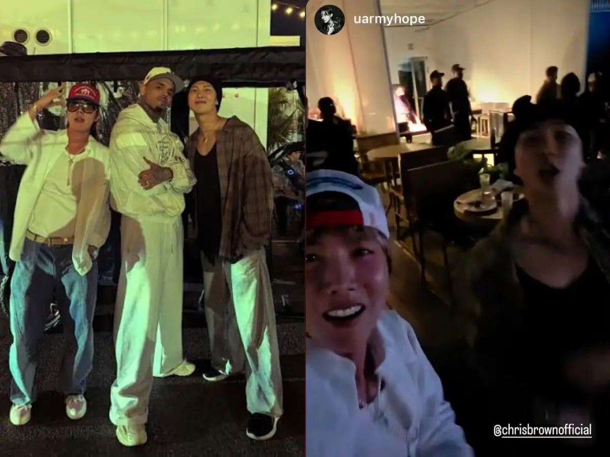 BTS members face backlash over Chris Brown concert