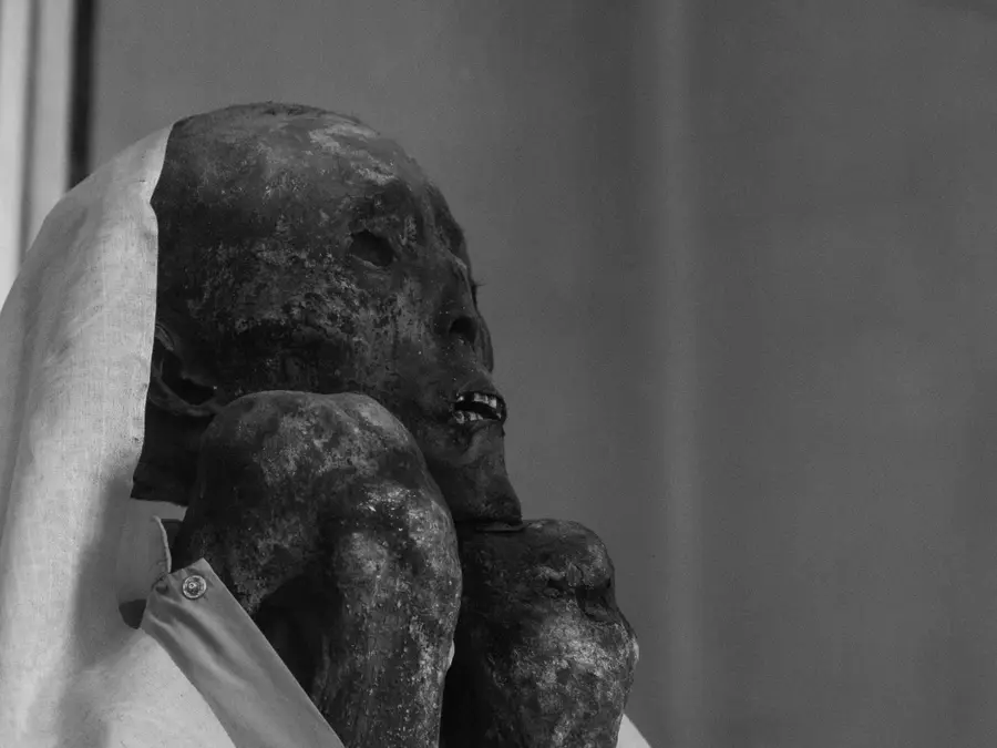 Scientists warn fungus from mummies could be spreading and pose danger to humans