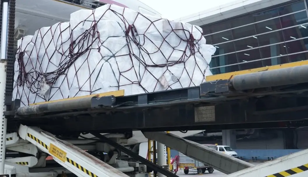 India dispatches first batch of relief supplies to earthquake-hit Colombia