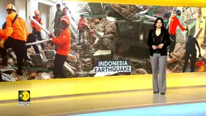 Indonesia earthquake: Rescue operations intensify in Flores 