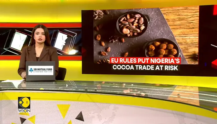 EU rules put Nigeria’s cocoa trade at risk