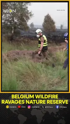 Wion News