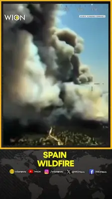 Wion News