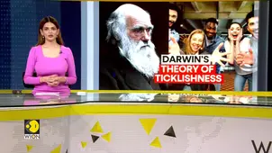 Darwin’s 150-year-old tickling theory gets scientific backing
