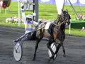 Varenne, Italy’s most celebrated racehorse, dies at 31