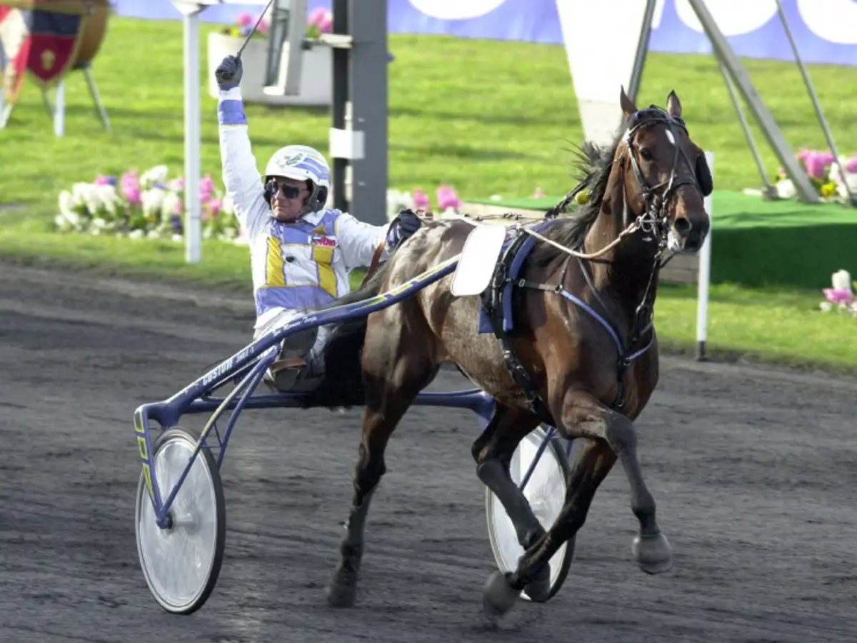 Varenne, Italy’s most celebrated racehorse, dies at 31