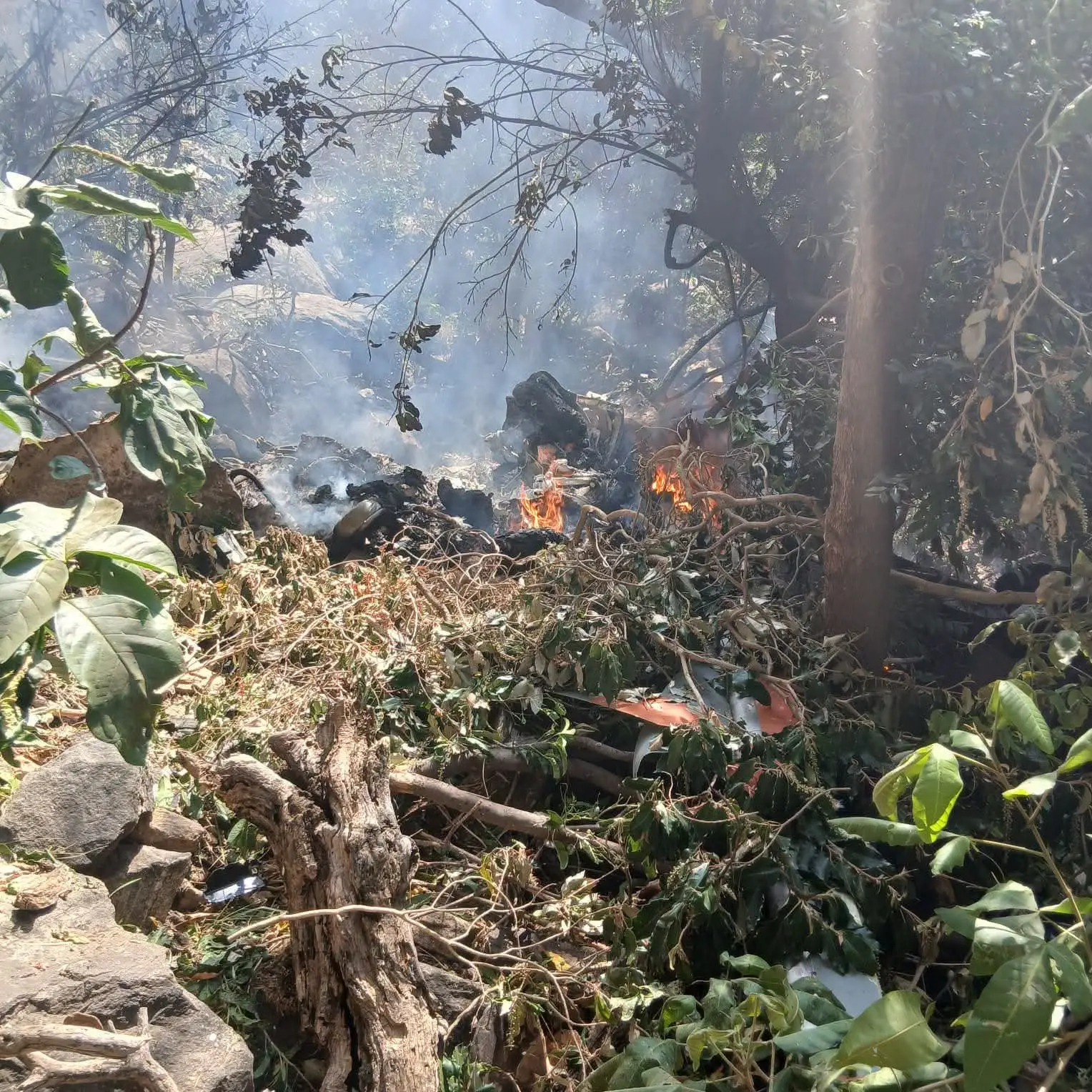 Tourist helicopter crashes in Kenya, all on board killed