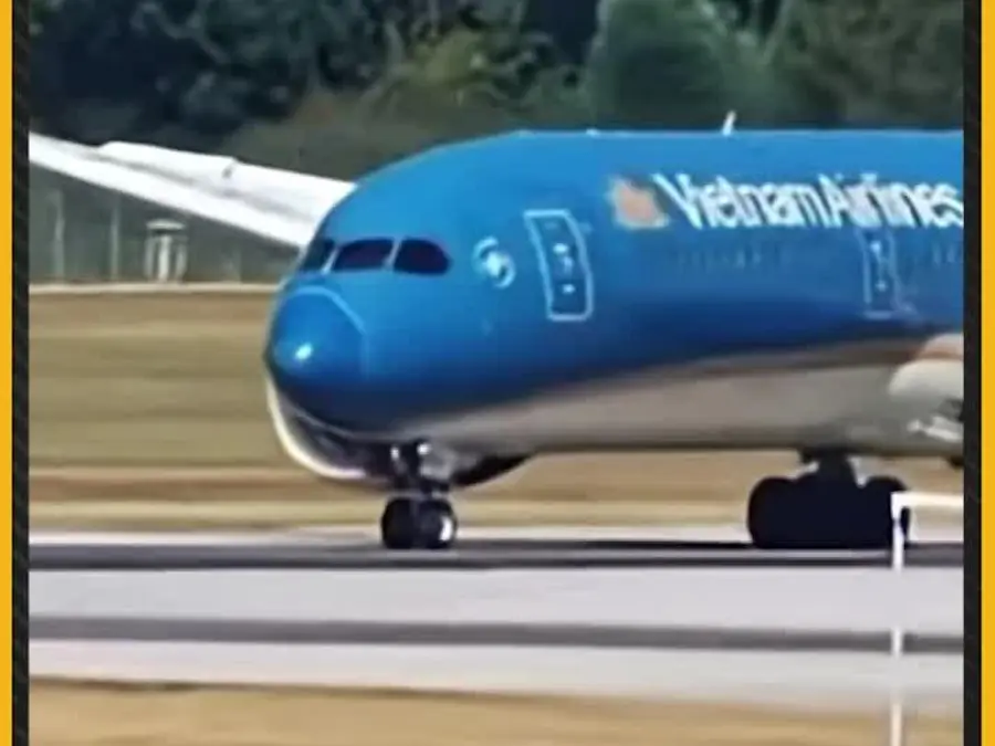 Vietnam airlines flight takes off with just 91 metres of runway left after mid-air scare