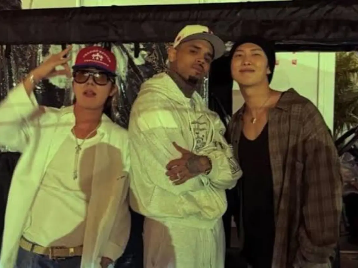 BTS RM controversy: The Pixel Project withdraws role model recognition after Chris Brown concert backlash BTS RM controversy: The Pixel Project withdraws role model recognition after Chris Brown concert backlash