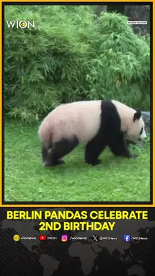Wion News