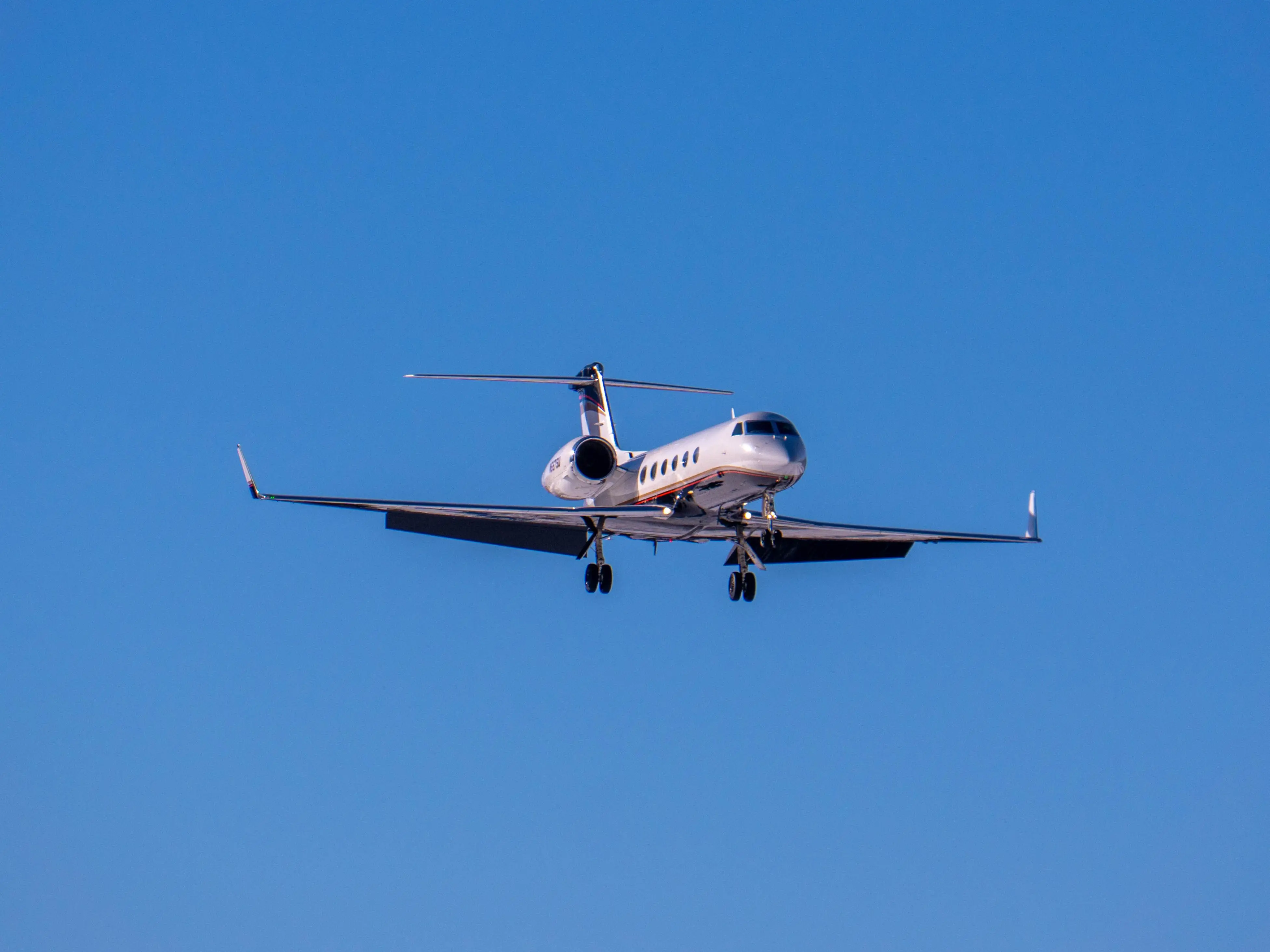 'Devastating loss': 8 dead after charter aircraft crashes near remote Alaska radar facility 'Devastating loss': 8 dead after charter aircraft crashes near remote Alaska radar facility