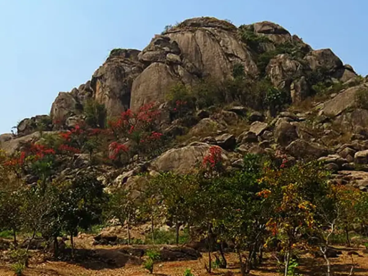Indian geologist finds 3.5bn-year-old evidence of life in the rocks of Jharkhand Indian geologist finds 3.5bn-year-old evidence of life in the rocks of Jharkhand