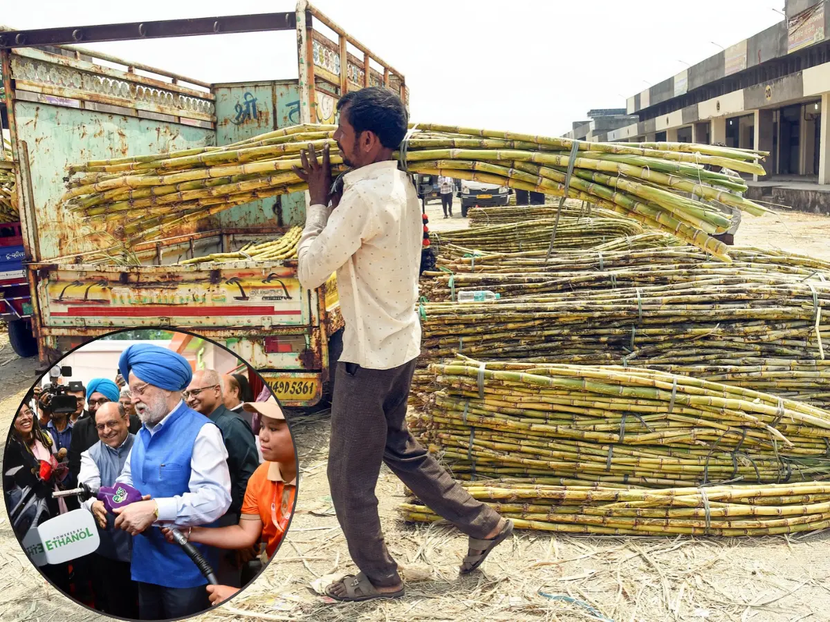 What's behind rising sugar prices in India? Government breaks silence, says 'ethanol...' What's behind rising sugar prices in India? Government breaks silence, says 'ethanol...'