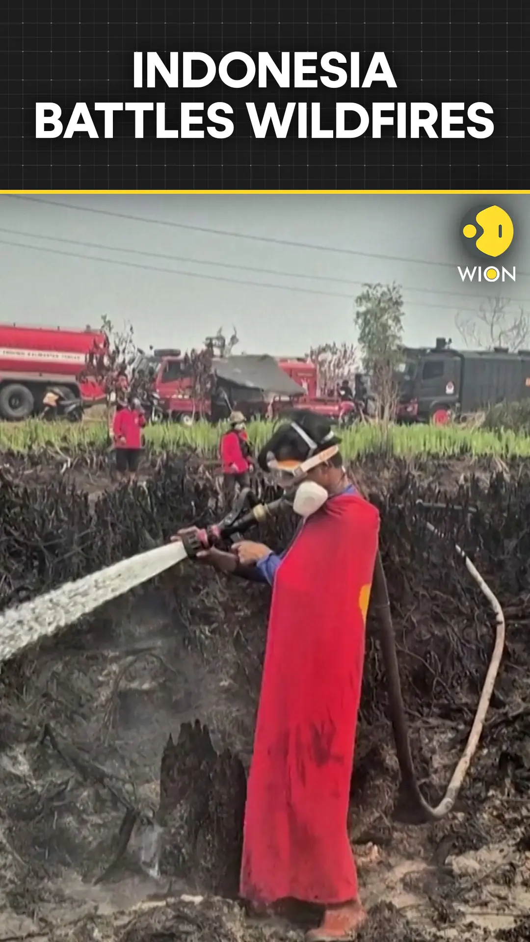 Indonesia wildfires: 17-year-old fights wildfires in superman suit