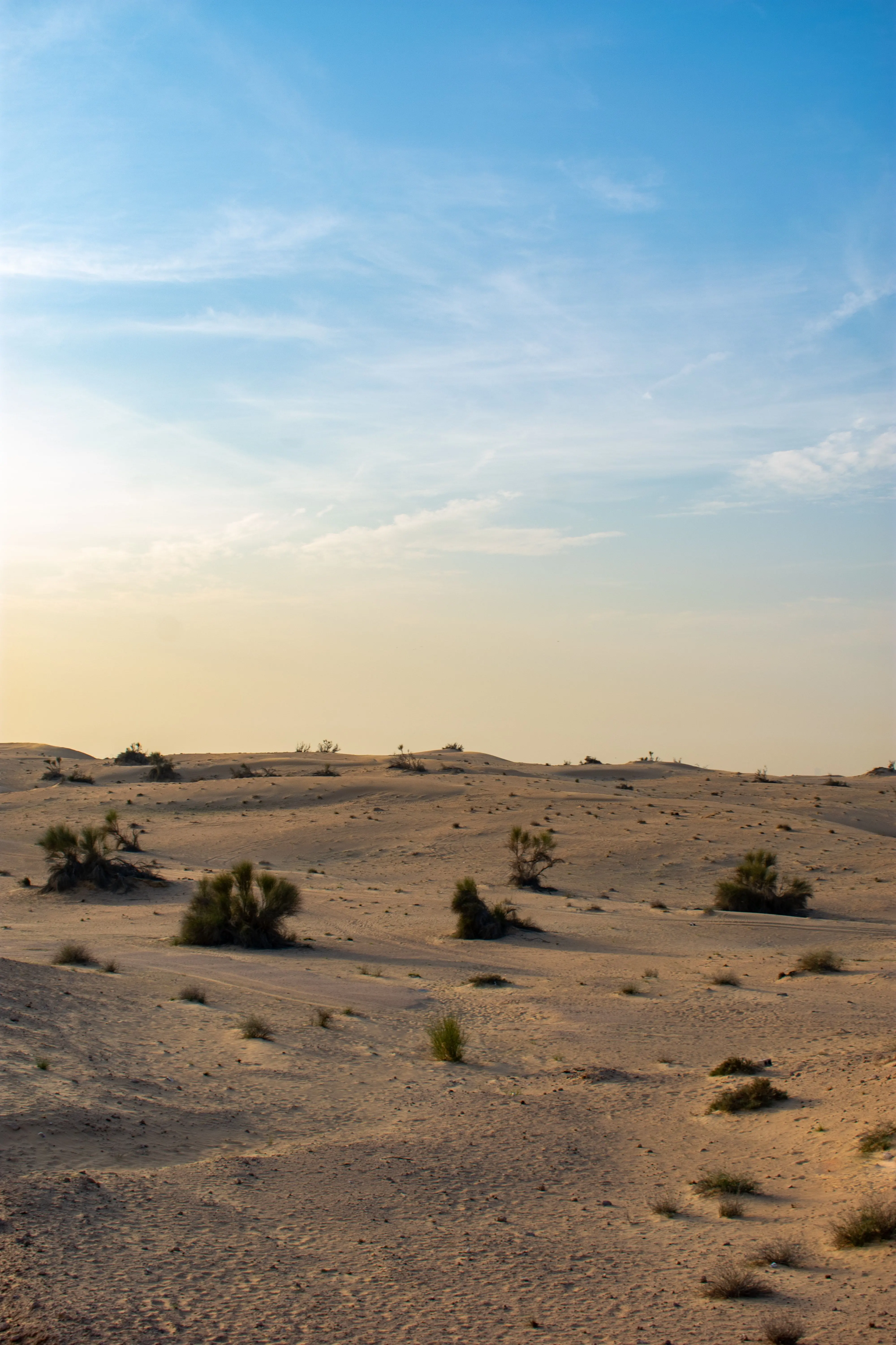 Was Egypt’s desert once a shark-filled sea? Scientists uncover ancient ‘graveyard’