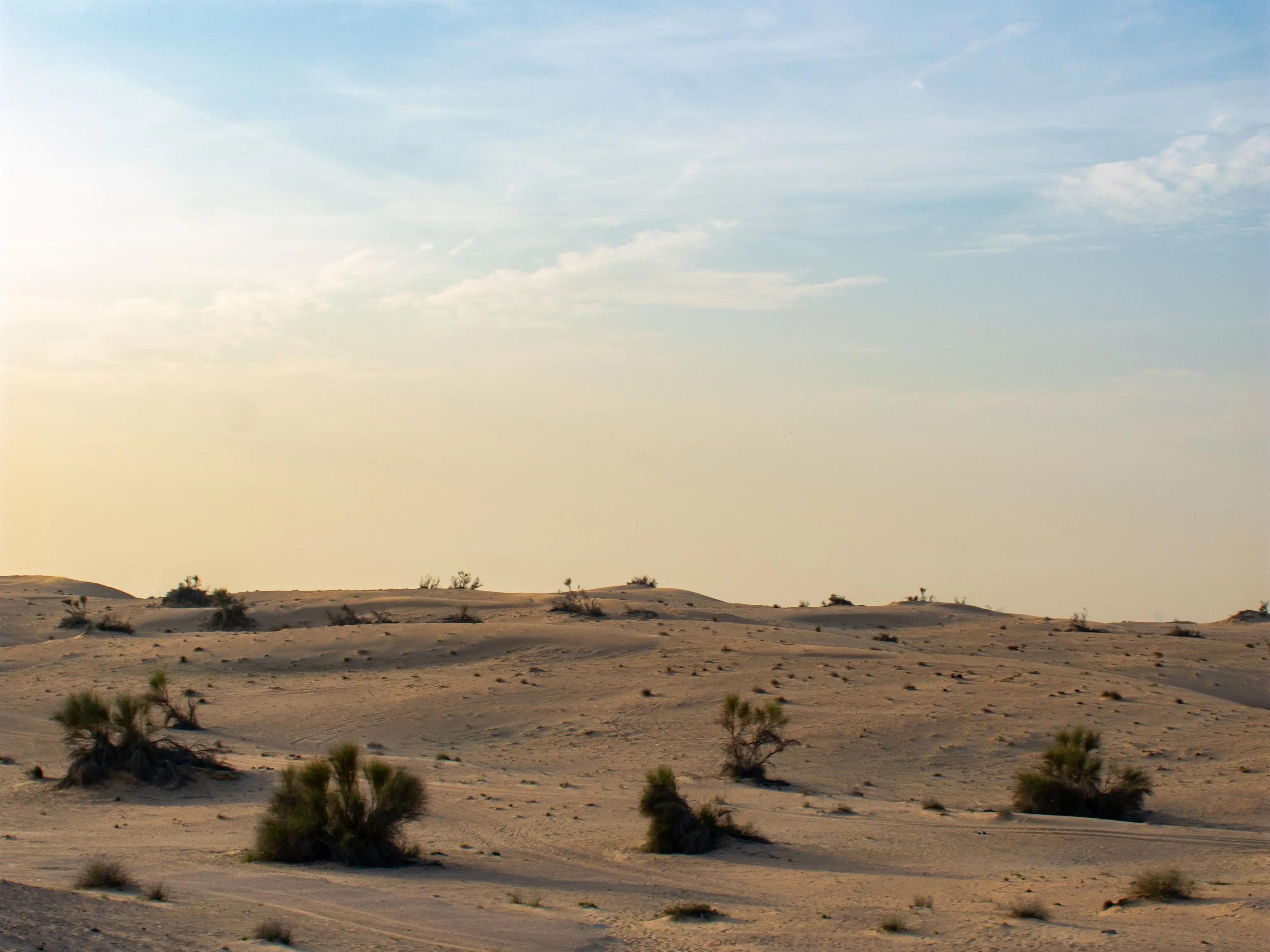 Was Egypt’s desert once a shark-filled sea? Scientists uncover ancient ‘graveyard’ Was Egypt’s desert once a shark-filled sea? Scientists uncover ancient ‘graveyard’