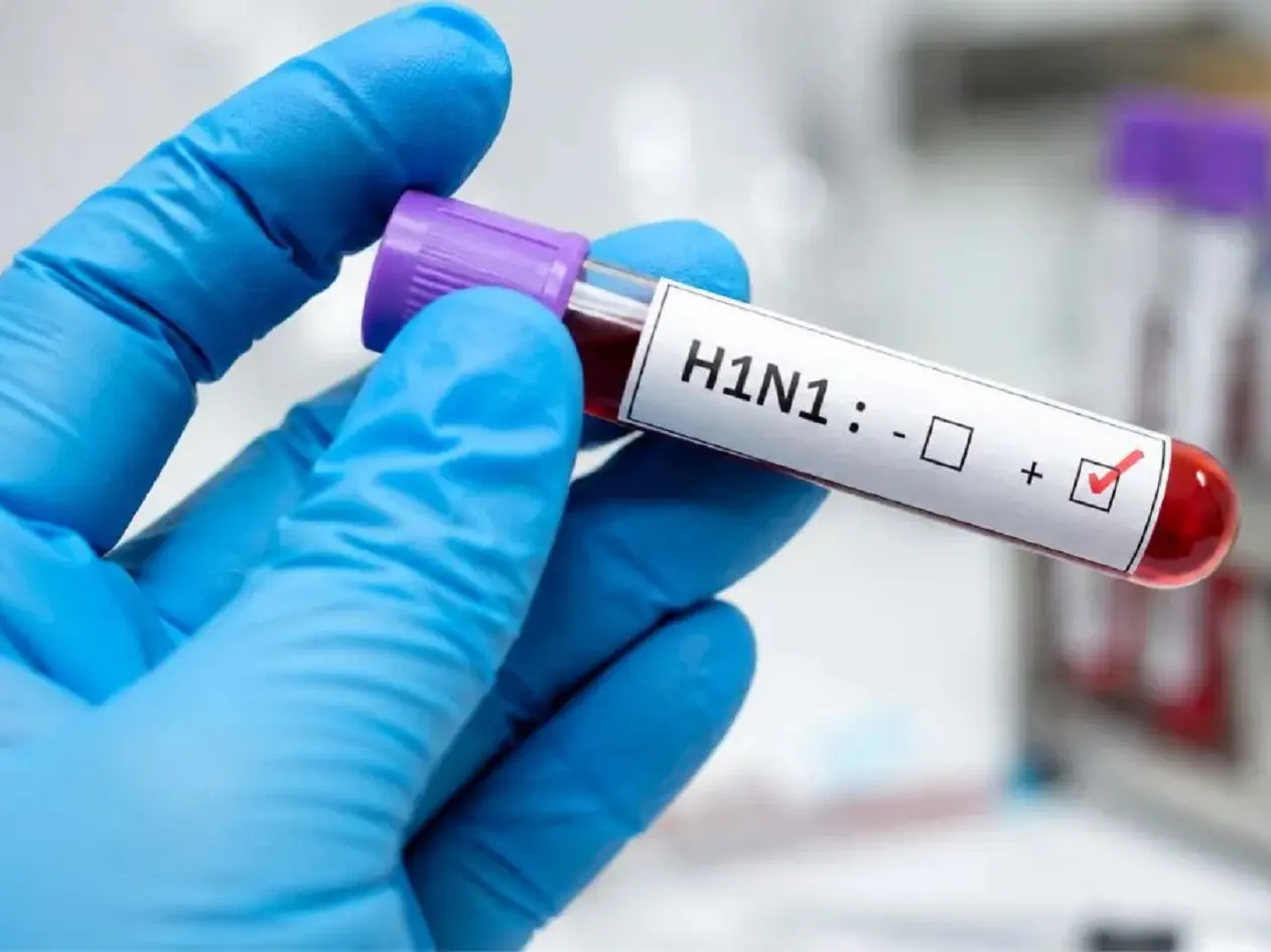 ‘No cause for panic’: ICMR says no new H1N1 strain detected, urges caution for high-risk groups ‘No cause for panic’: ICMR says no new H1N1 strain detected, urges caution for high-risk groups
