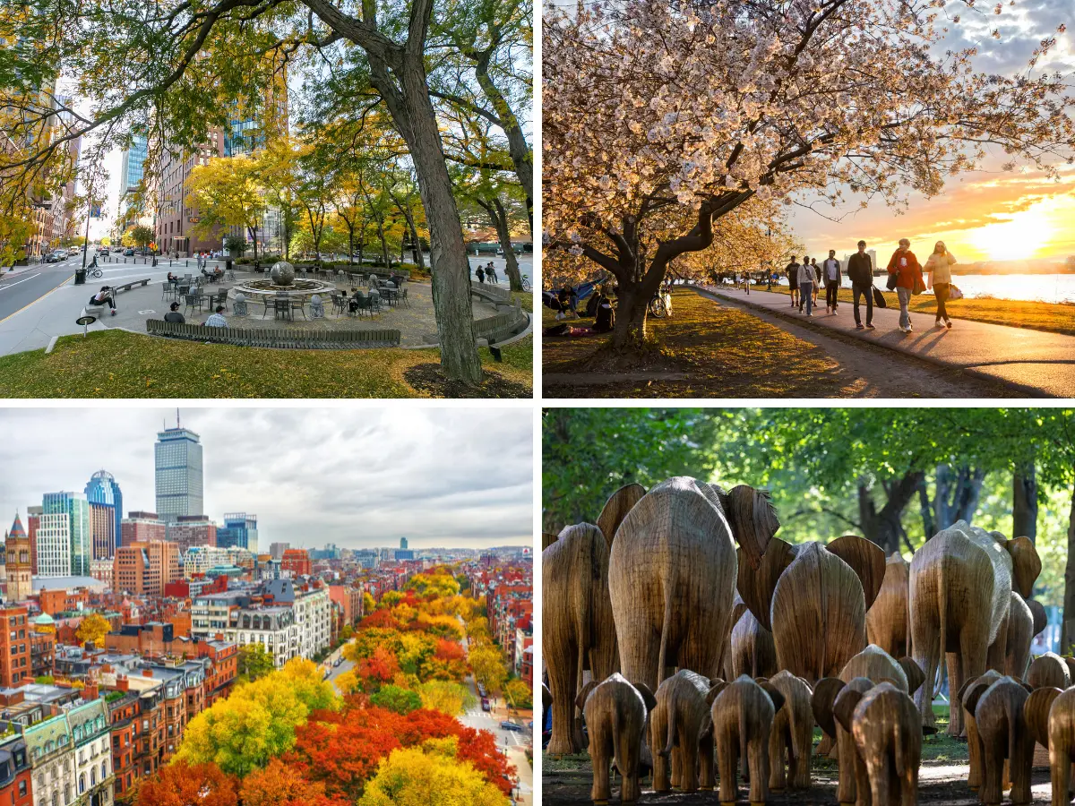 The Boston fall bucket list: Foliage, festivals and classic New England eats