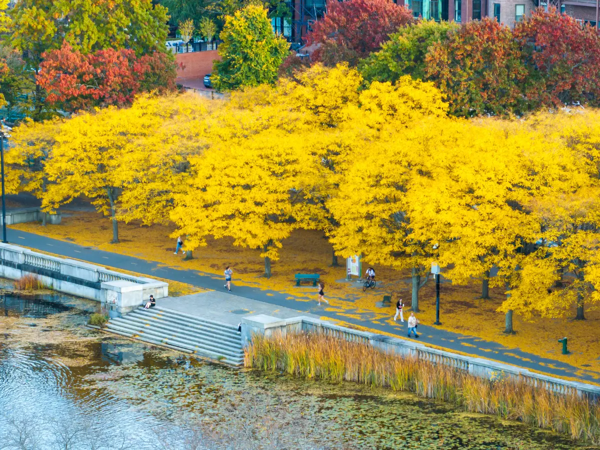 Experience the Outdoors in Boston