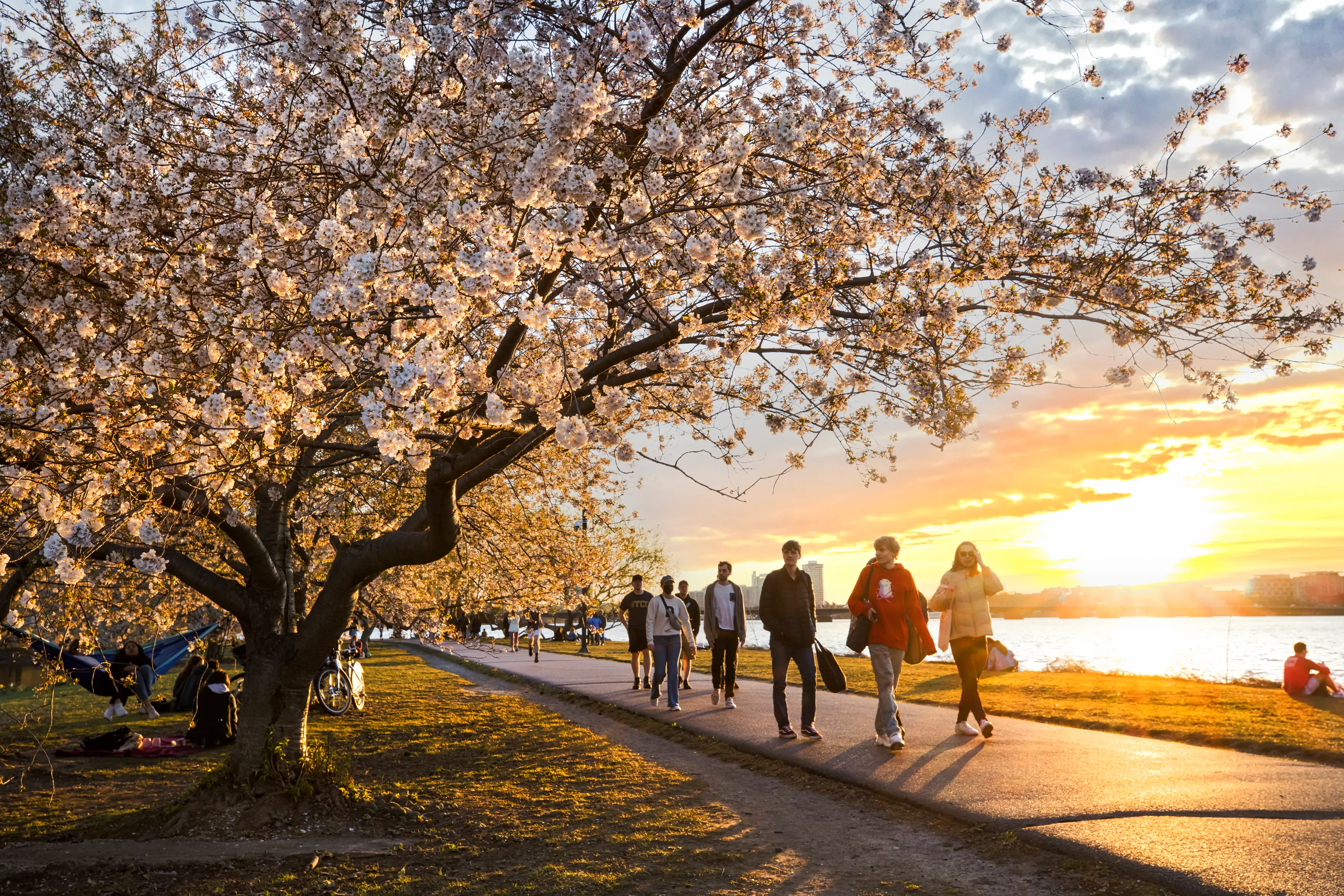 Embark on a Walking Tour