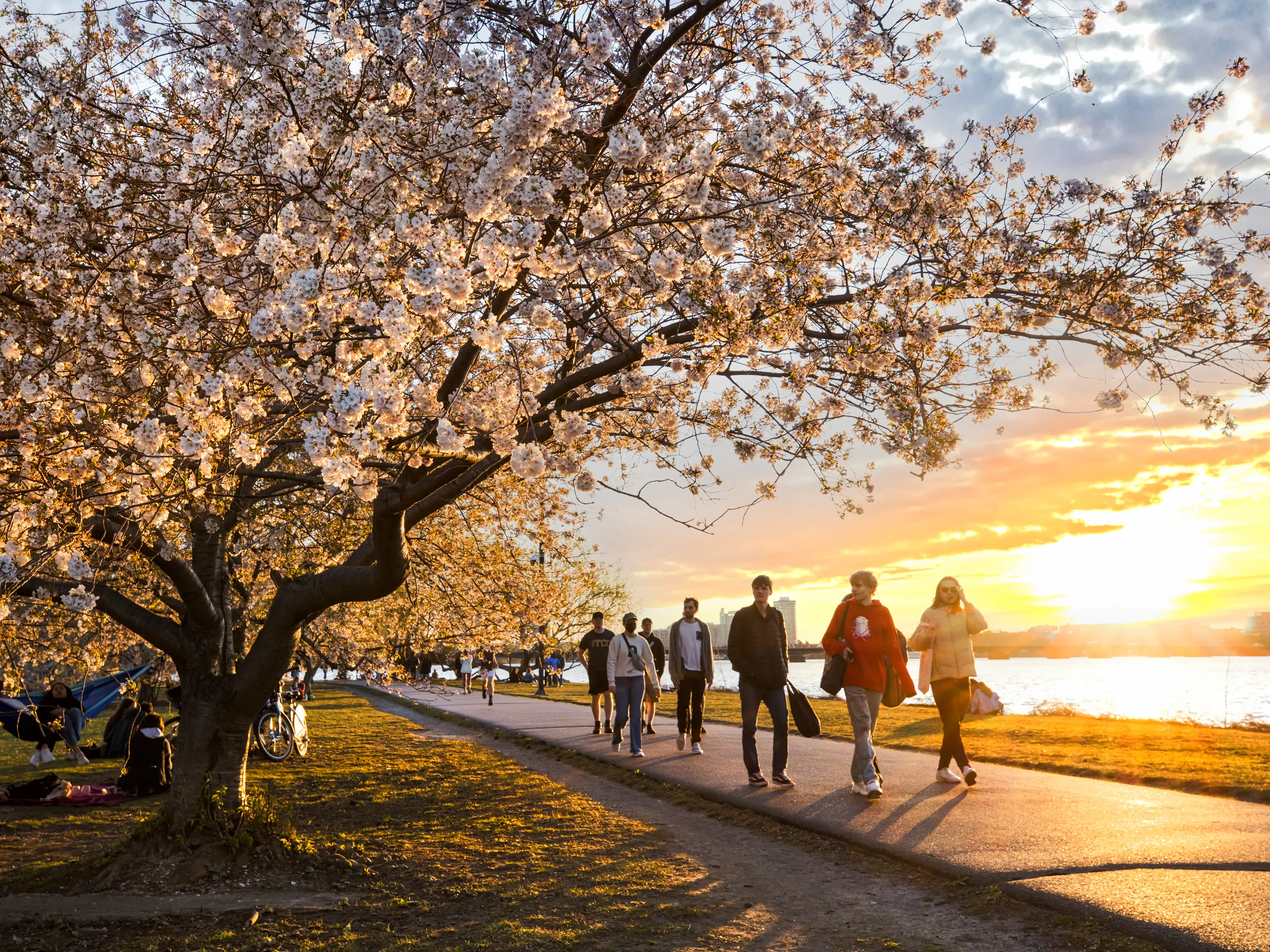 What 10,000 steps a day really does to your body What 10,000 steps a day really does to your body
