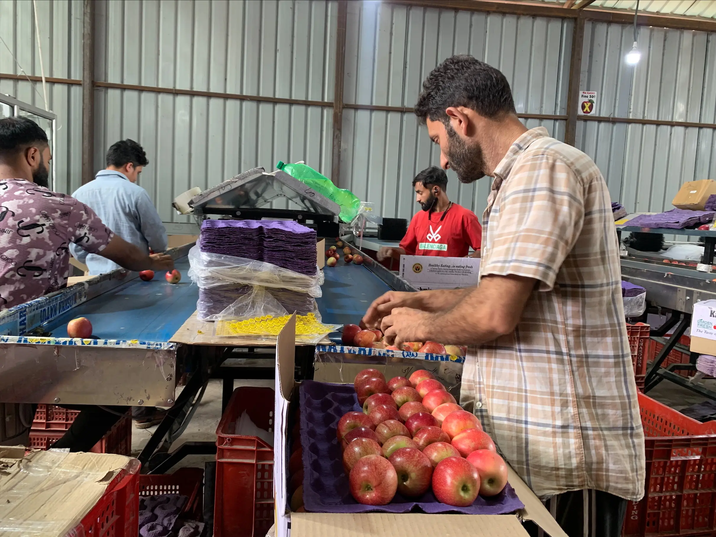 Kashmir apple growers get rail lifeline as special freight trains begin September 1
