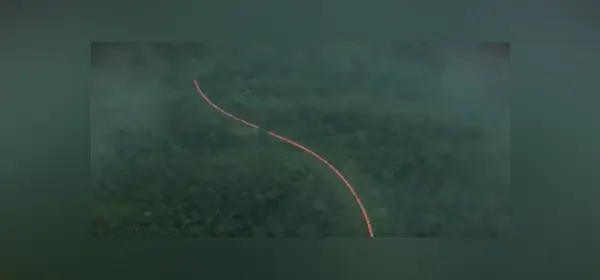 WATCH | ‘Orange snake’ in the hills: Vande Bharat’s stunning Western Ghats journey goes viral WATCH | ‘Orange snake’ in the hills: Vande Bharat’s stunning Western Ghats journey goes viral