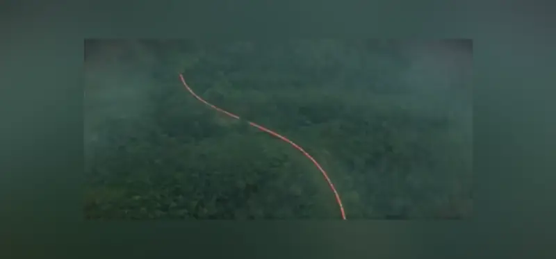 WATCH | ‘Orange snake’ in the hills: Vande Bharat’s stunning Western Ghats journey goes viral WATCH | ‘Orange snake’ in the hills: Vande Bharat’s stunning Western Ghats journey goes viral