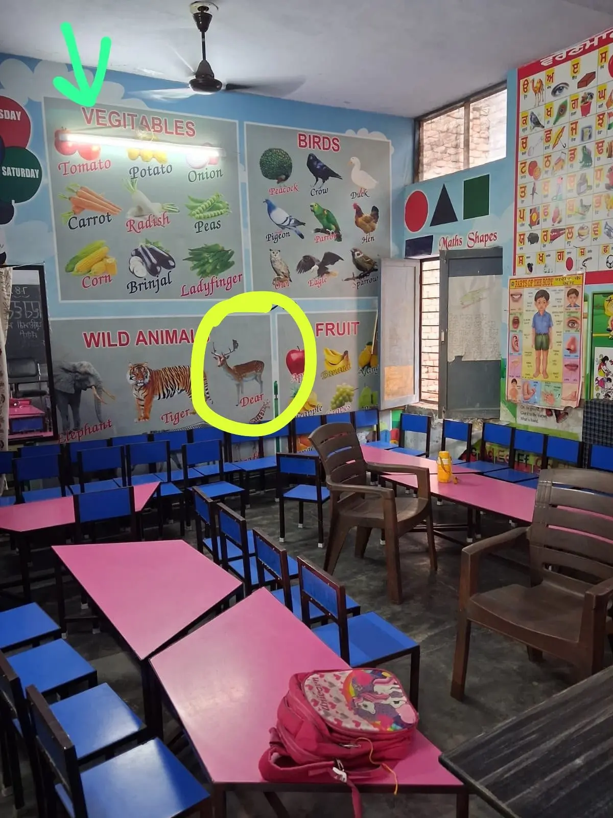 'Vegitables and dear': SAD attacks AAP over Punjab school spelling errors, questions boasting on education standards