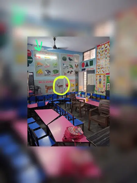 'Vegitables and dear': SAD attacks AAP over Punjab school spelling errors, questions boasting on education standards 'Vegitables and dear': SAD attacks AAP over Punjab school spelling errors, questions boasting on education standards