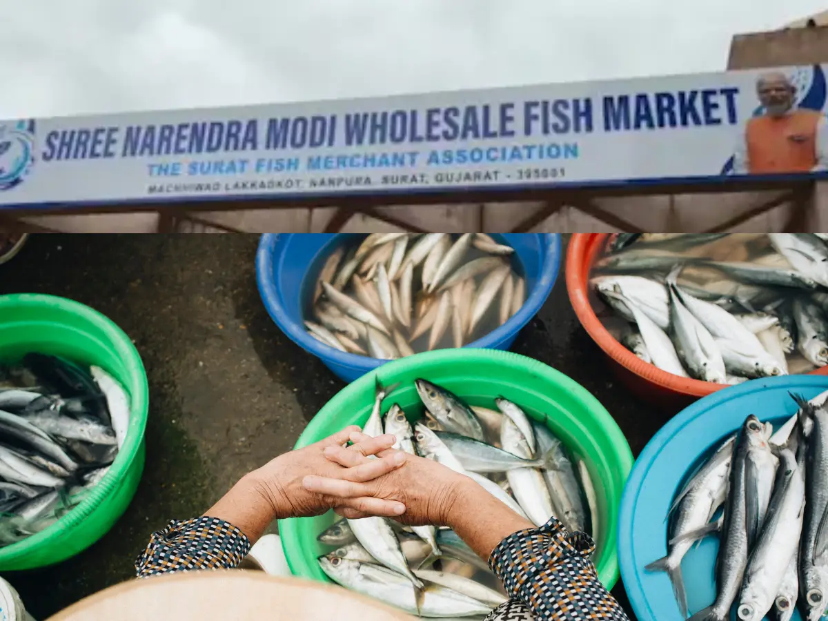 Fish market named after PM Modi? What's the latest fish controversy in Indian politics Fish market named after PM Modi? What's the latest fish controversy in Indian politics