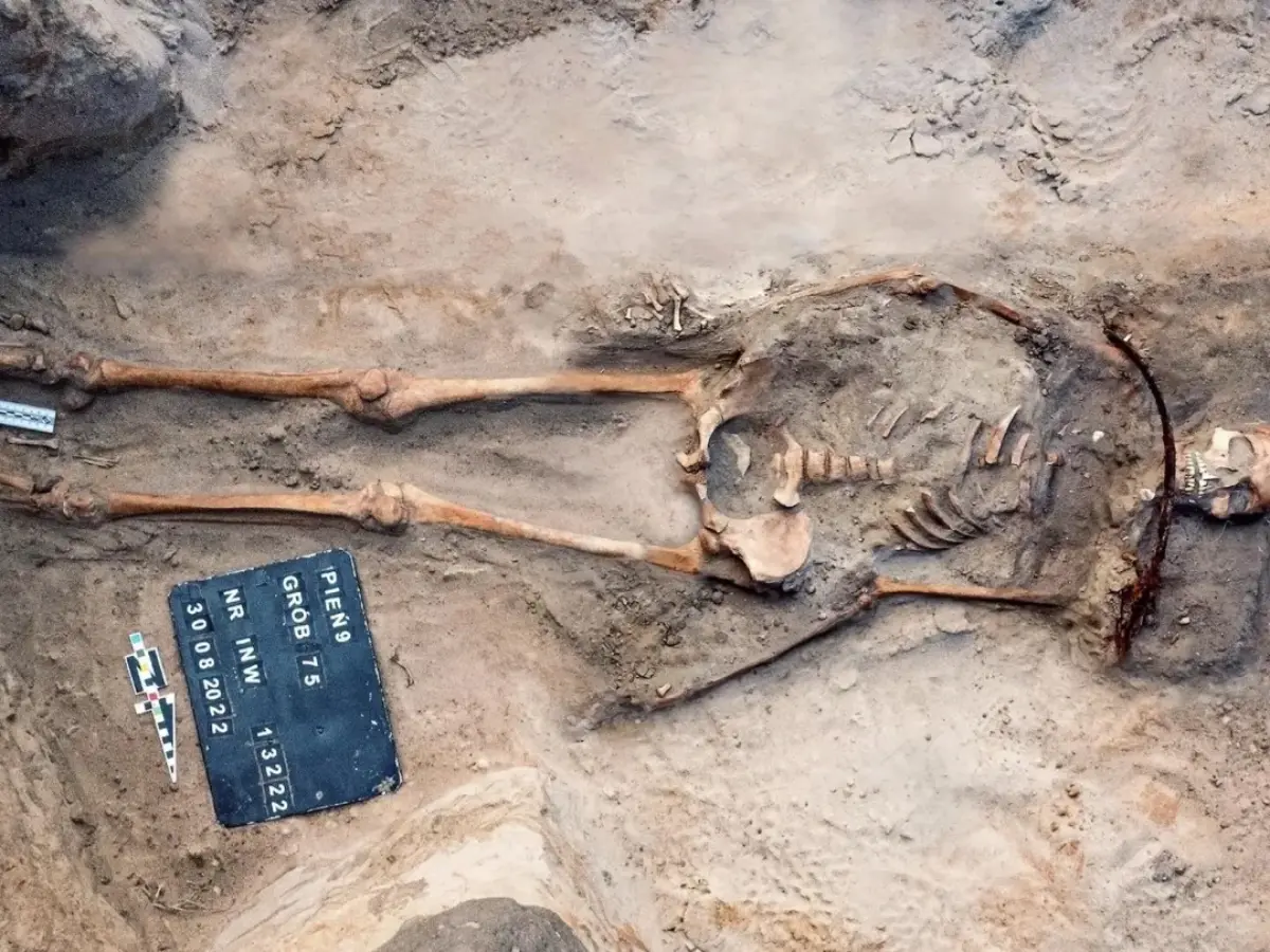 400-year-old 'vampire' grave in Poland reveals non-existent genetic lineage 400-year-old 'vampire' grave in Poland reveals non-existent genetic lineage