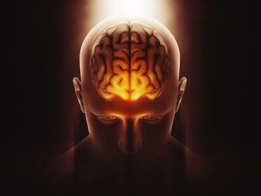 Scientists find brain ‘brake’ that could switch off chronic pain. Here’s how