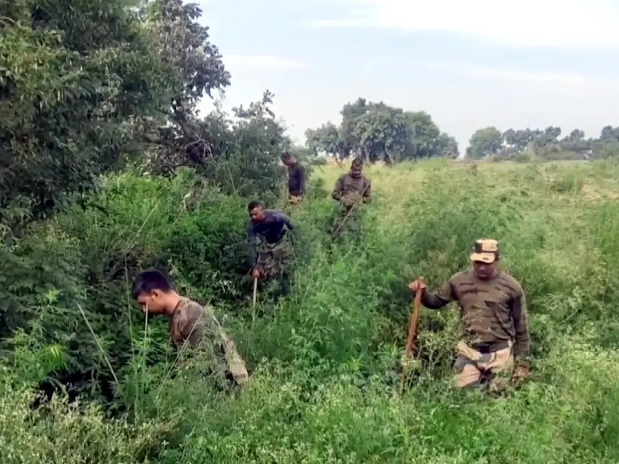 Missing Assam man detained in Bangladesh, accused of illegal entry and drug smuggling