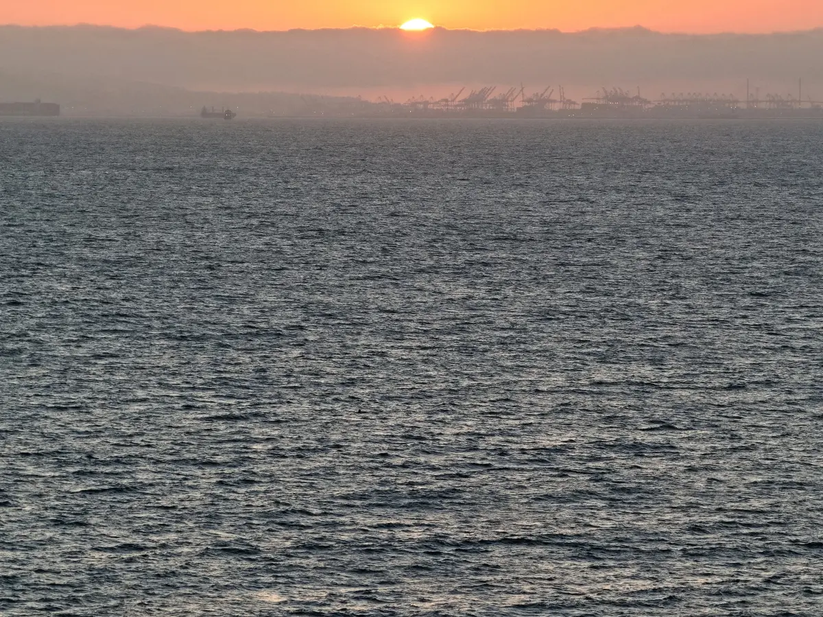 At least 7 killed, 23 missing as ferry capsizes off North Cyprus, Rescue underway At least 7 killed, 23 missing as ferry capsizes off North Cyprus, Rescue underway