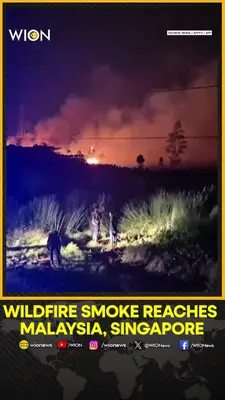 Wion News