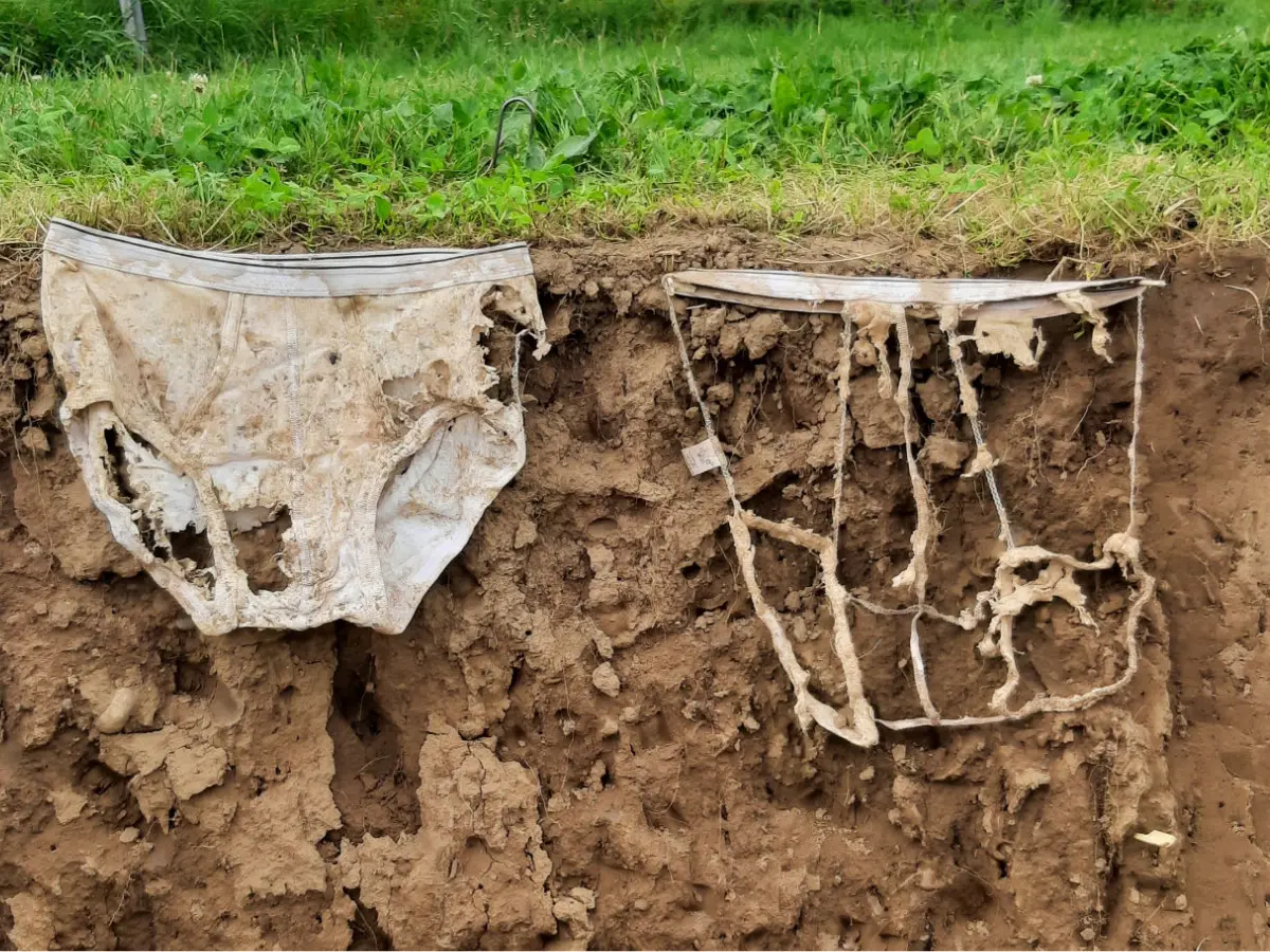 2,000 pairs of underwear buried in Switzerland revealed something startling